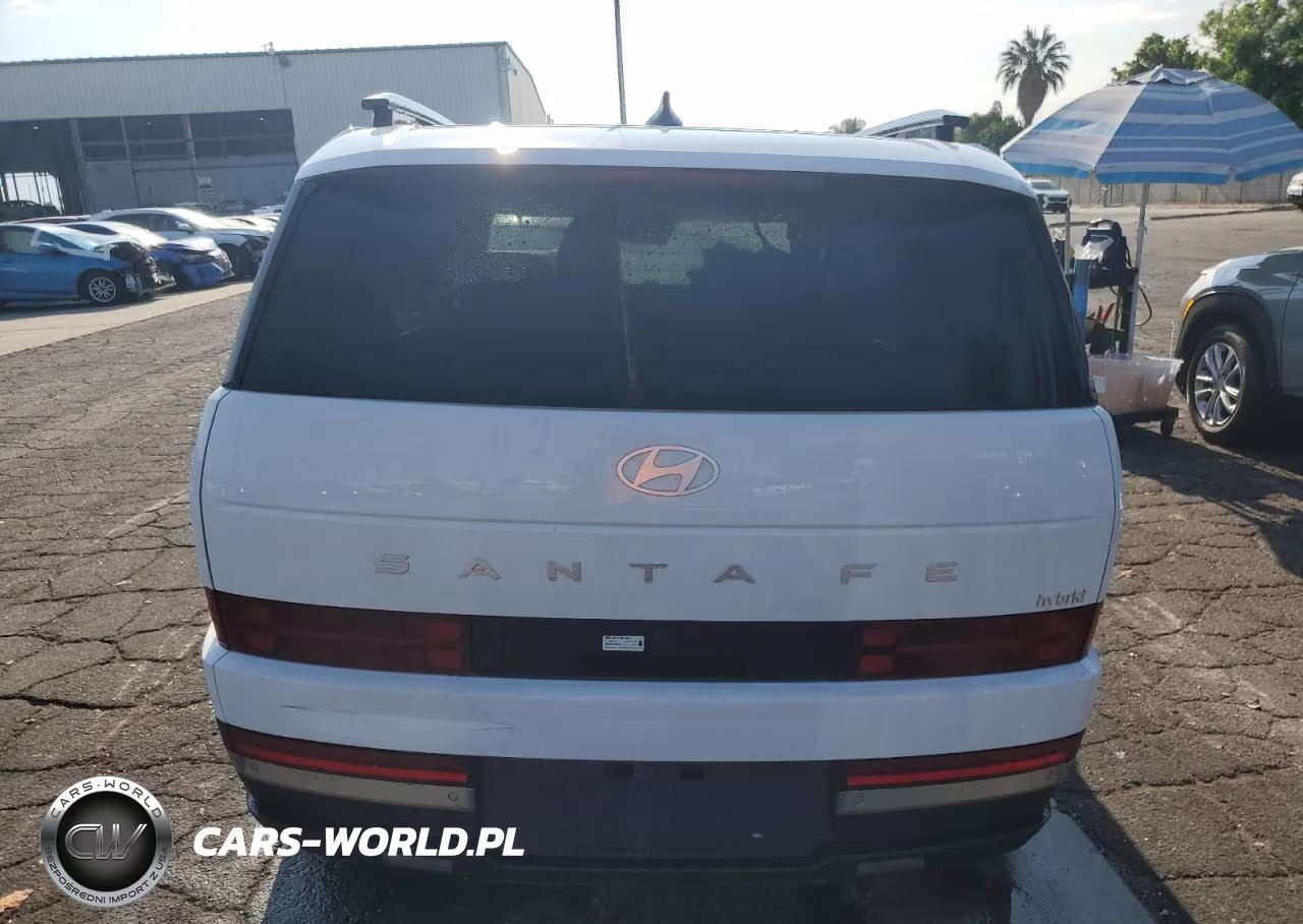 2025 Hyundai Santa Fe Limited VIN:5NMP34G11SH026573 - 6