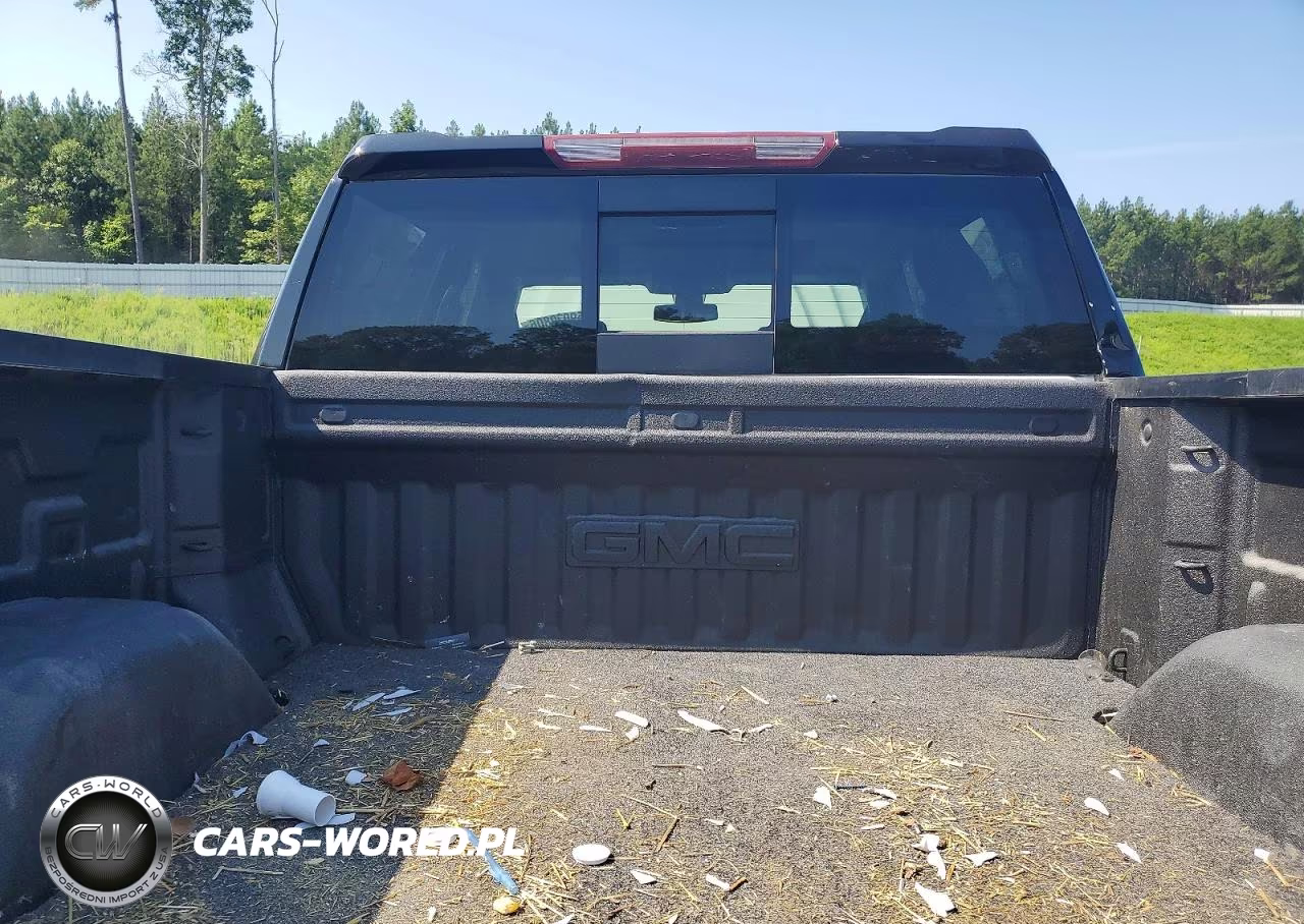 2020 GMC Sierra K1500 Slt VIN:1GTU9DELXLZ252548 - 10