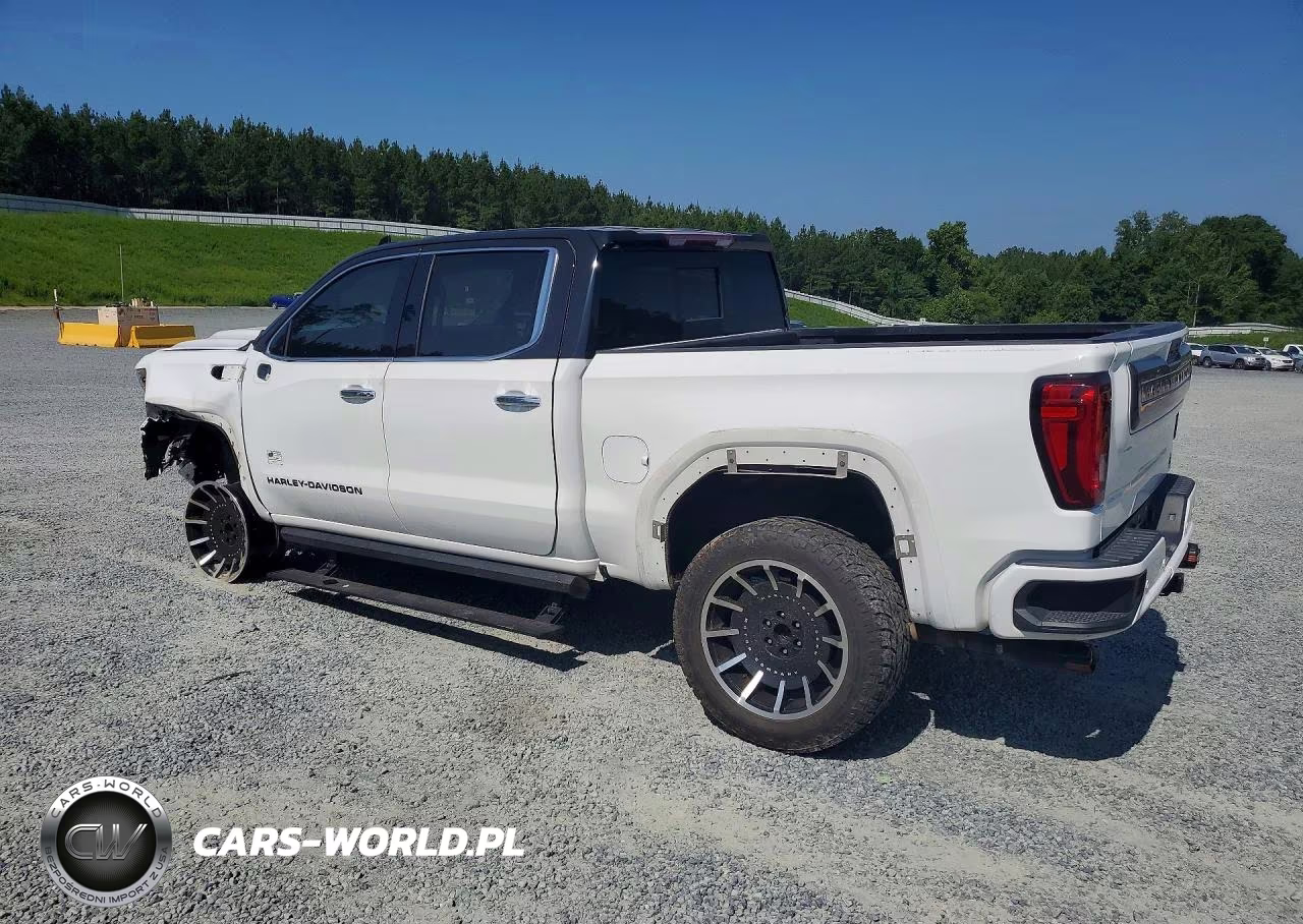 2020 GMC Sierra K1500 Slt VIN:1GTU9DELXLZ252548 - 2