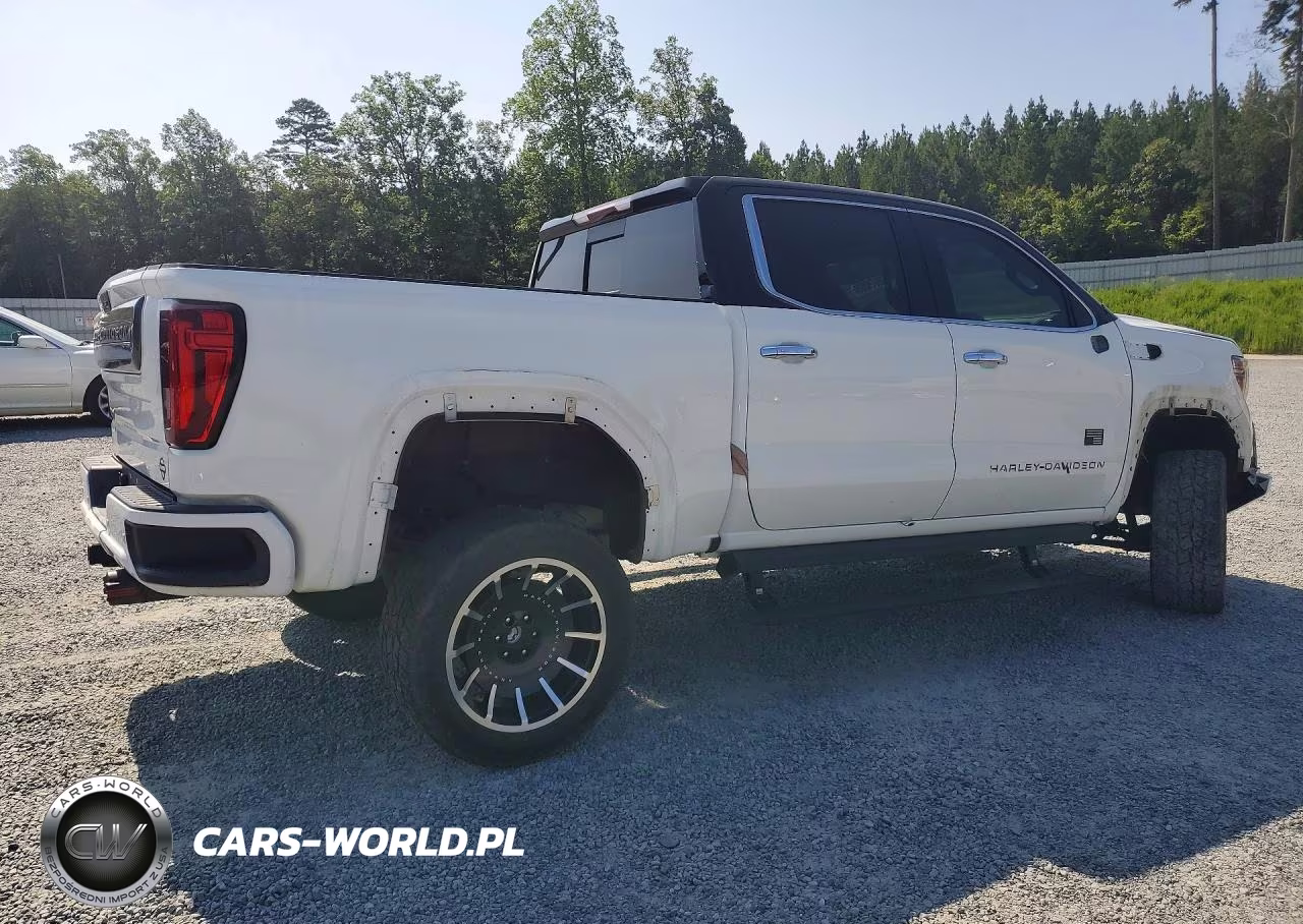 2020 GMC Sierra K1500 Slt VIN:1GTU9DELXLZ252548 - 3