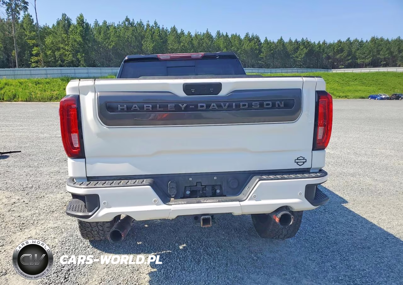2020 GMC Sierra K1500 Slt VIN:1GTU9DELXLZ252548 - 6