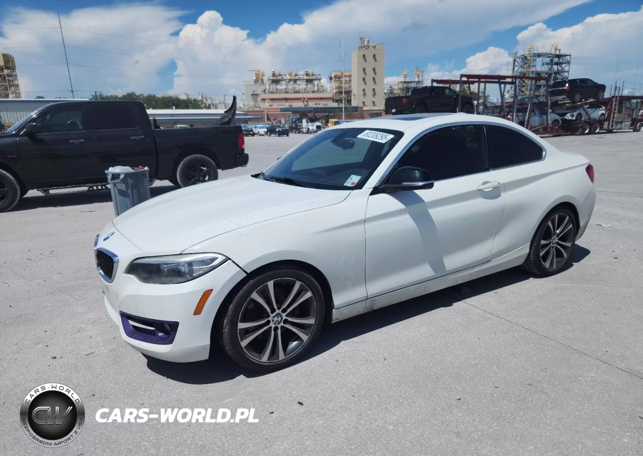 2015 BMW 228 I