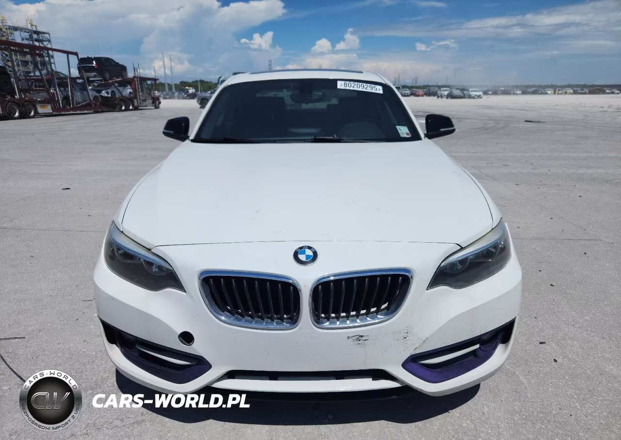 2015 BMW 228 I VIN:WBA1F5C55FV256473 - 10