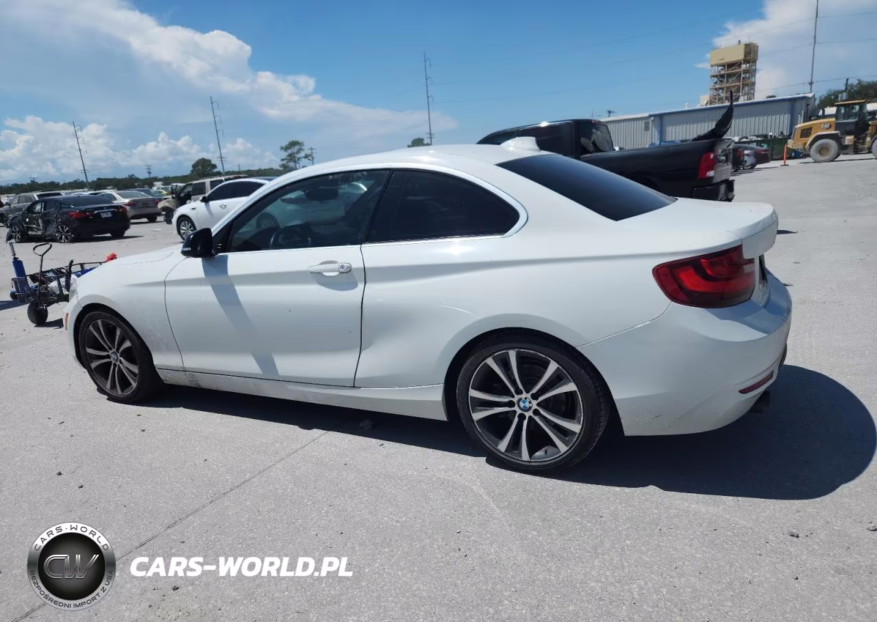 2015 BMW 228 I VIN:WBA1F5C55FV256473 - 4
