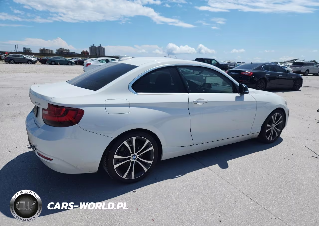2015 BMW 228 I VIN:WBA1F5C55FV256473 - 6