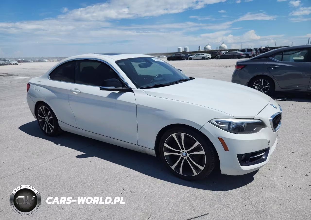 2015 BMW 228 I VIN:WBA1F5C55FV256473 - 8
