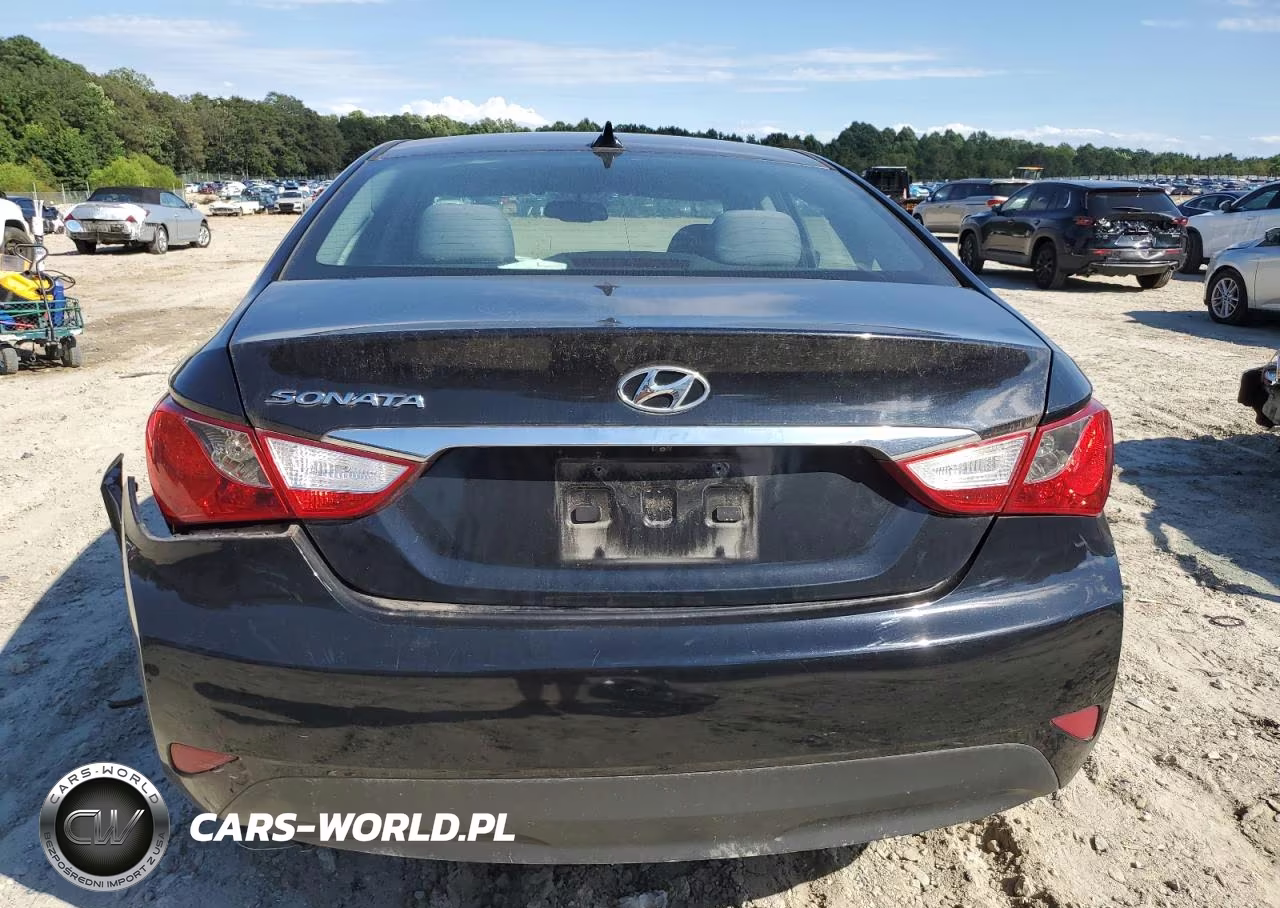 2014 Hyundai Sonata Gls VIN:5NPEB4AC9EH944387 - 11