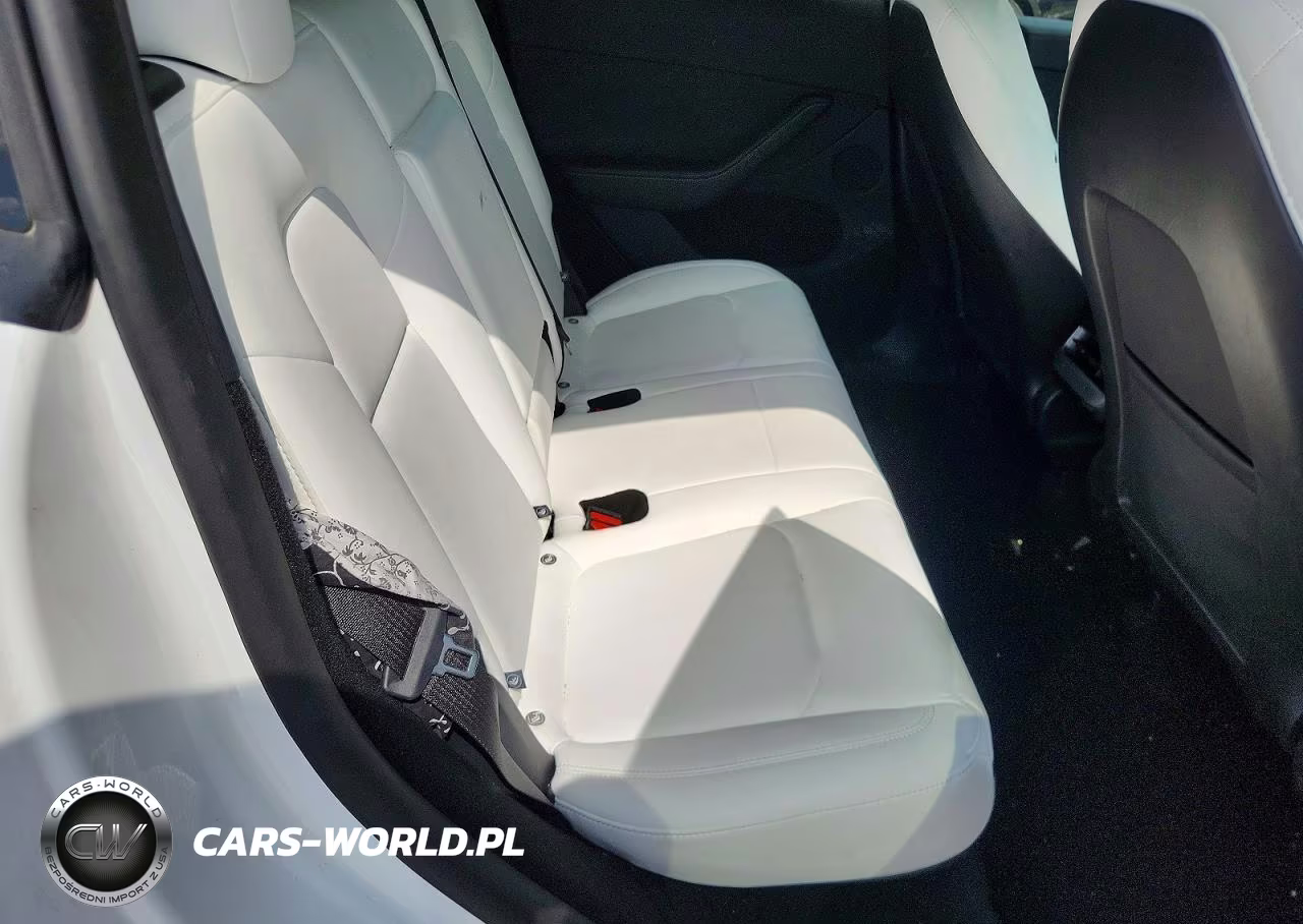 2024 Tesla Model Y VIN:7SAYGDED6RA325154 - 10