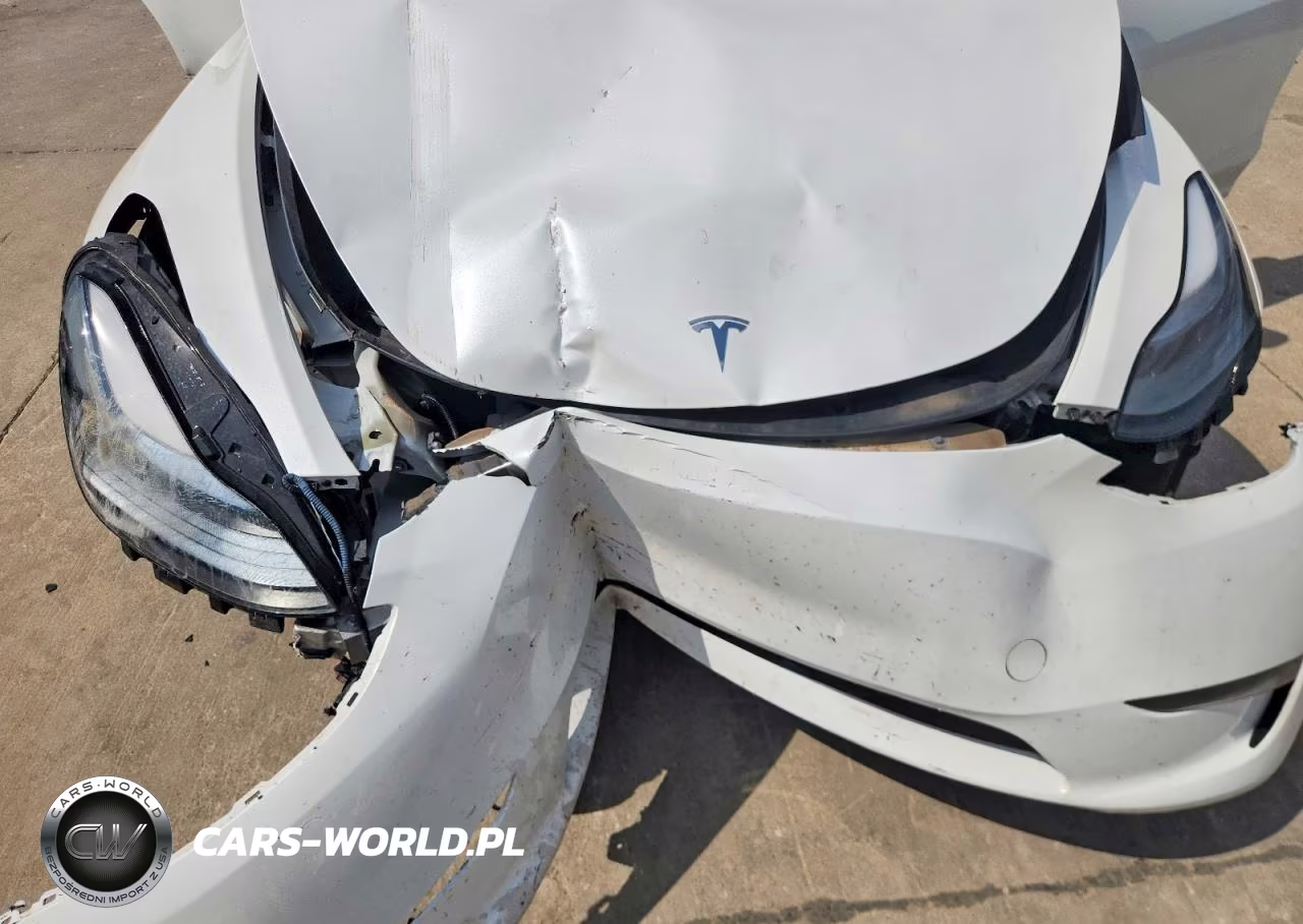 2024 Tesla Model Y VIN:7SAYGDED6RA325154 - 11