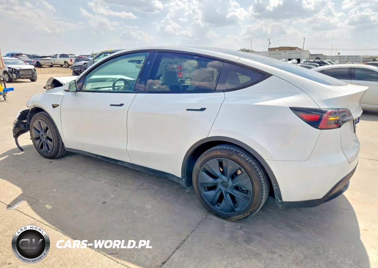 2024 Tesla Model Y VIN:7SAYGDED6RA325154 - 2