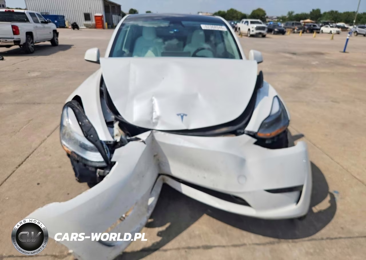 2024 Tesla Model Y VIN:7SAYGDED6RA325154 - 5