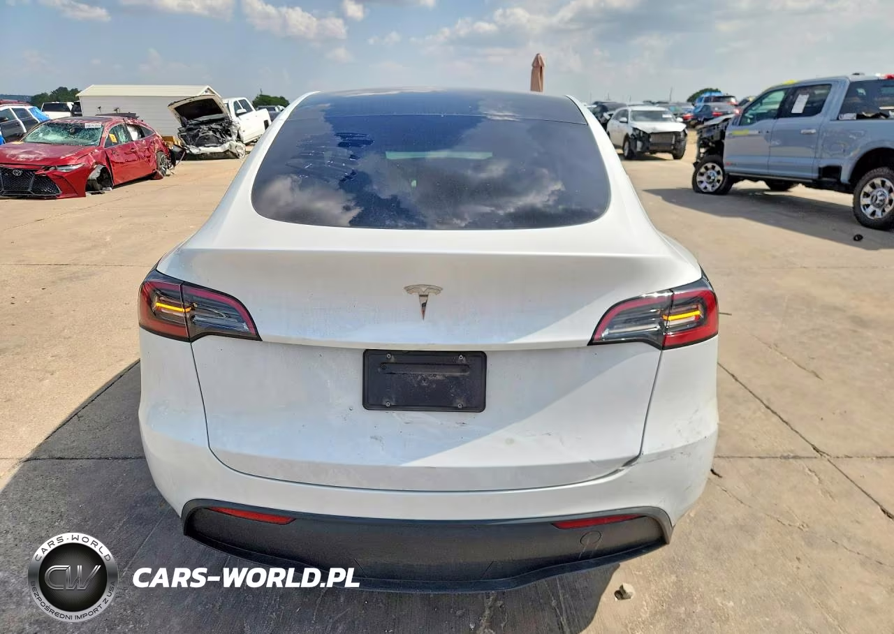 2024 Tesla Model Y VIN:7SAYGDED6RA325154 - 6