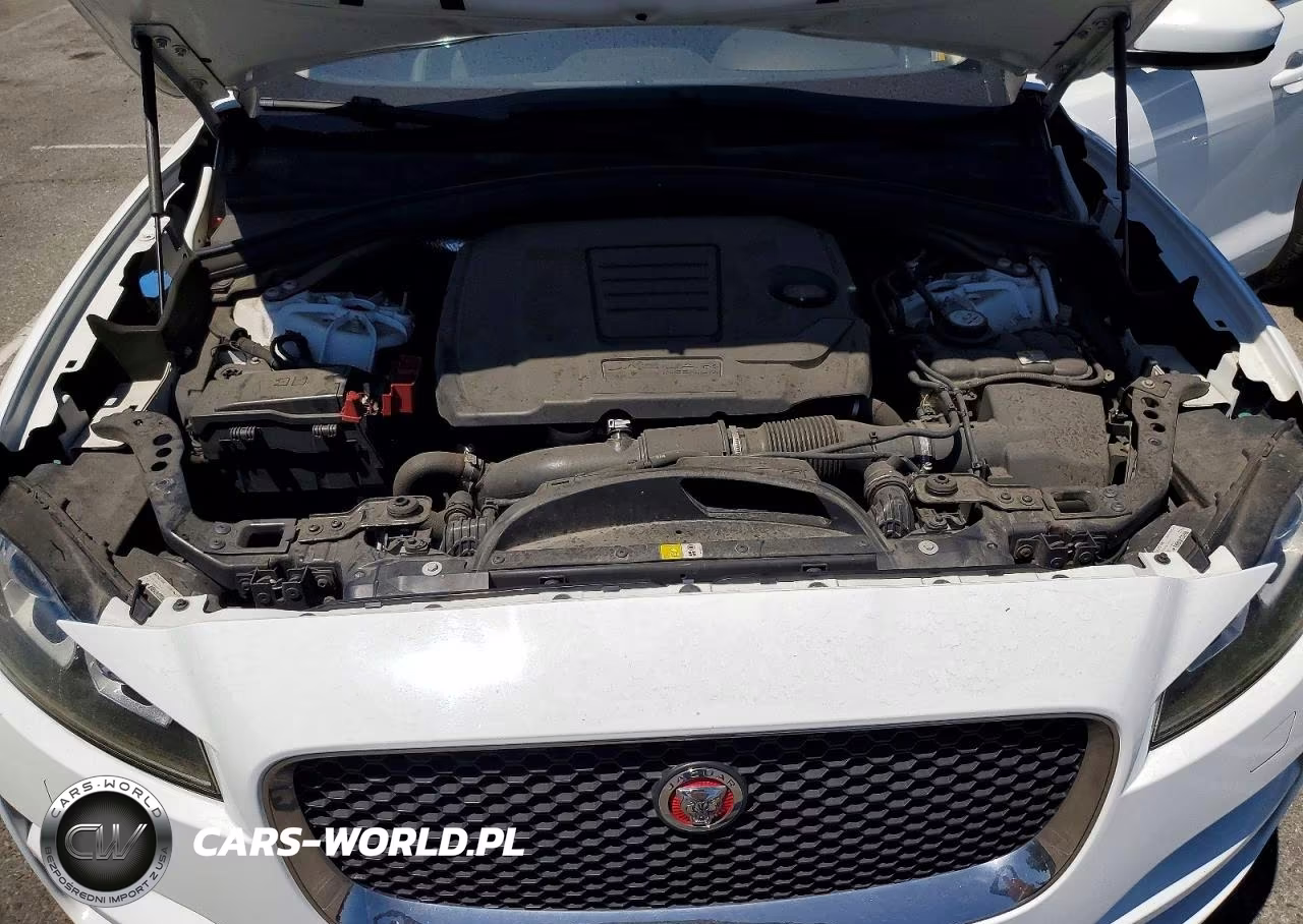 2019 Jaguar F-Pace Prestige VIN:SADCK2FX0KA398741 - 12