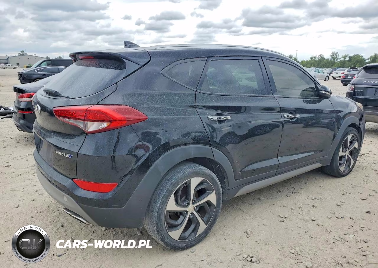 2017 Hyundai Tucson Limited VIN:KM8J33A21HU321624 - 3
