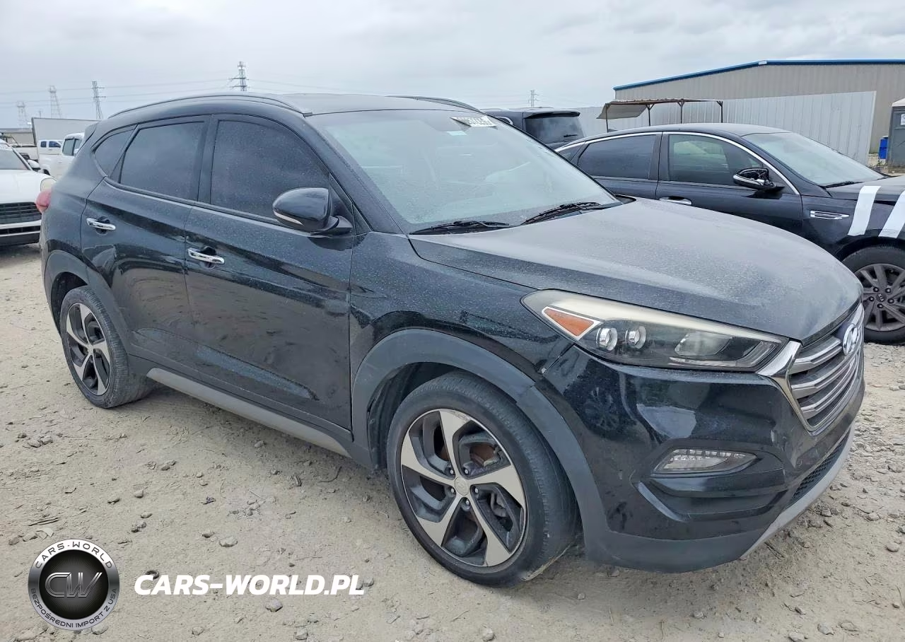 2017 Hyundai Tucson Limited VIN:KM8J33A21HU321624 - 4