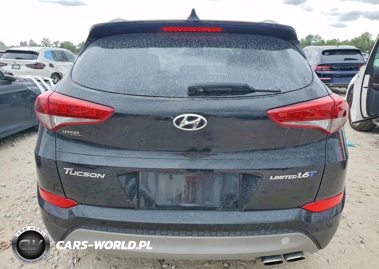 2017 Hyundai Tucson Limited VIN:KM8J33A21HU321624 - 6