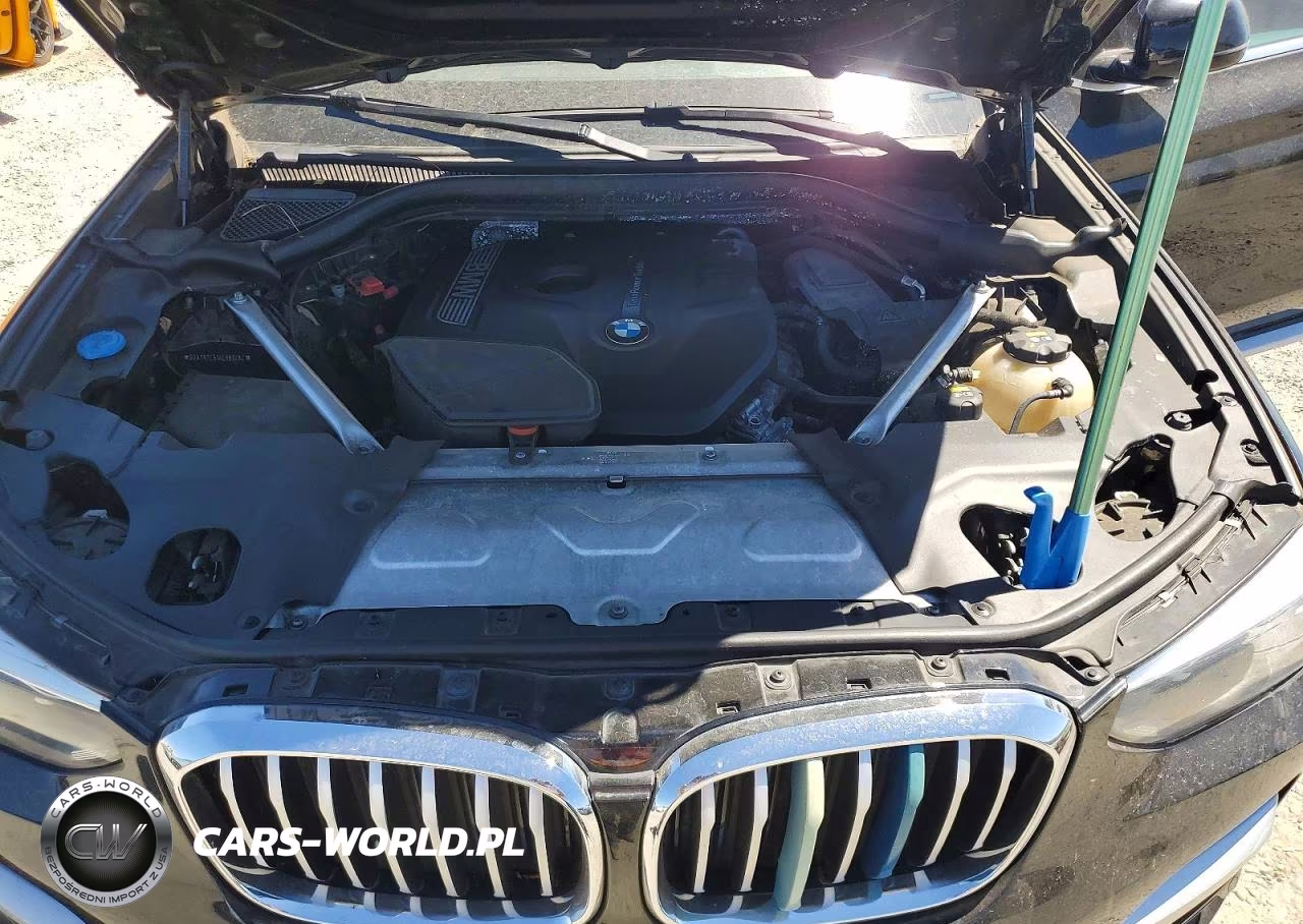 2019 BMW X3 Sdrive30I VIN:5UXTR7C51KLR53464 - 12