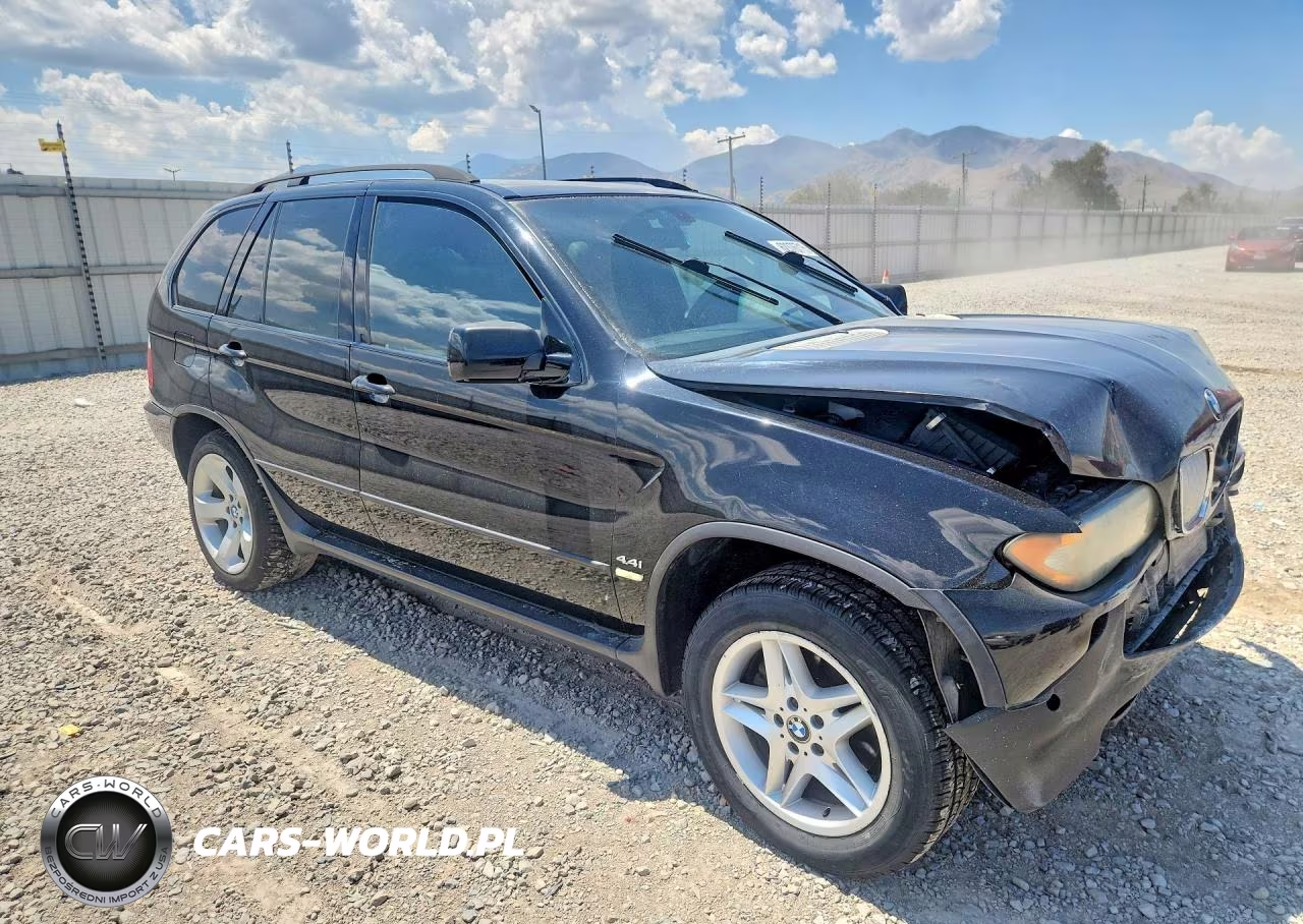 2004 BMW X5 4.4I VIN:5UXFB53564LV07111 - 4