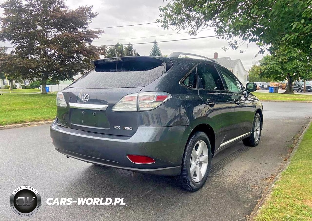 2010 Lexus Rx 350 VIN:2T2BK1BA9AC014464 - 4