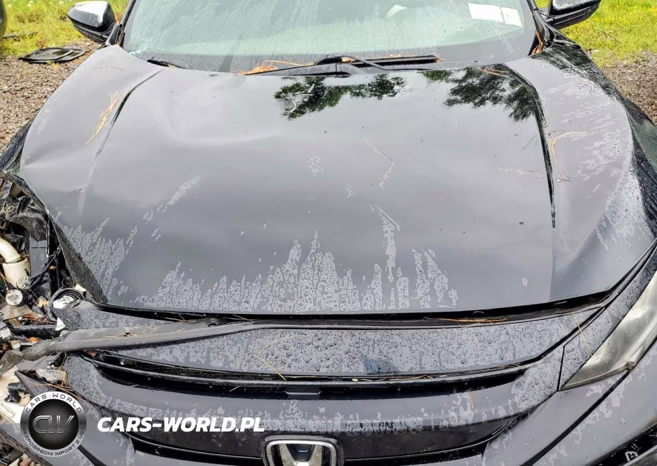 2019 Honda Civic Sport VIN:SHHFK7G41KU217484 - 11