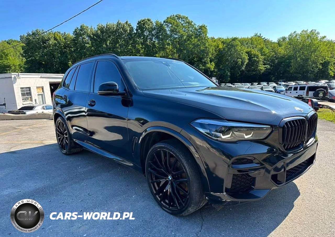 2023 BMW X5 xDrive40I VIN:5UXCR6C03P9R91541 - 4