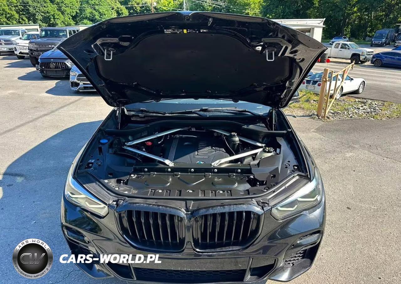 2023 BMW X5 xDrive40I VIN:5UXCR6C03P9R91541 - 5