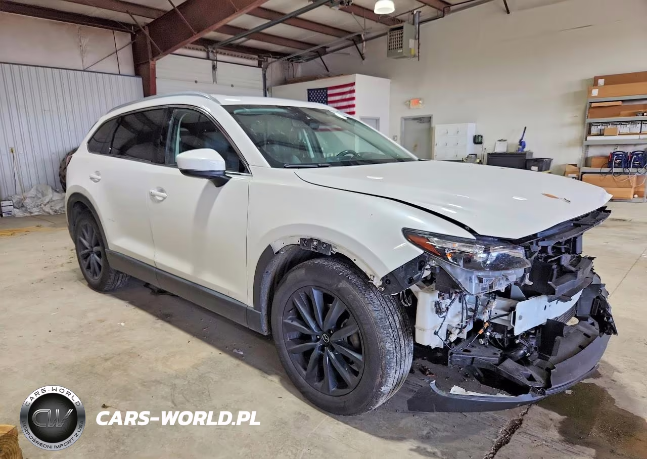 2022 Mazda Cx-9 Touring Plus VIN:JM3TCBAY1N0609360 - 4