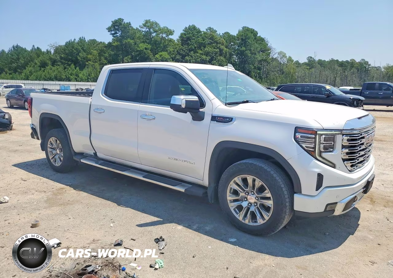 2023 GMC Sierra K1500 Denali VIN:3GTUUGEL6PG344987 - 4
