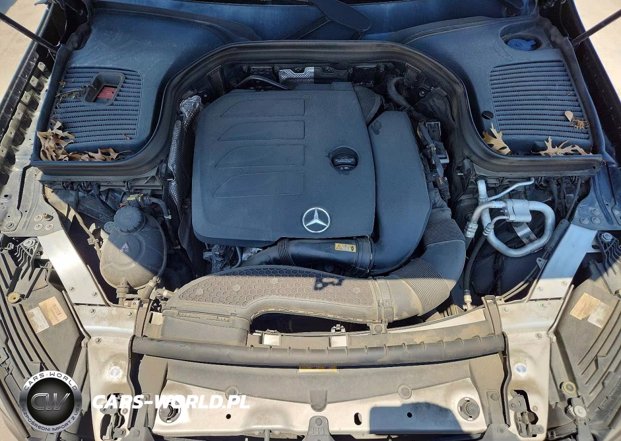 2021 Mercedes-Benz Glc 300 VIN:W1N0G8DB1MF927462 - 11