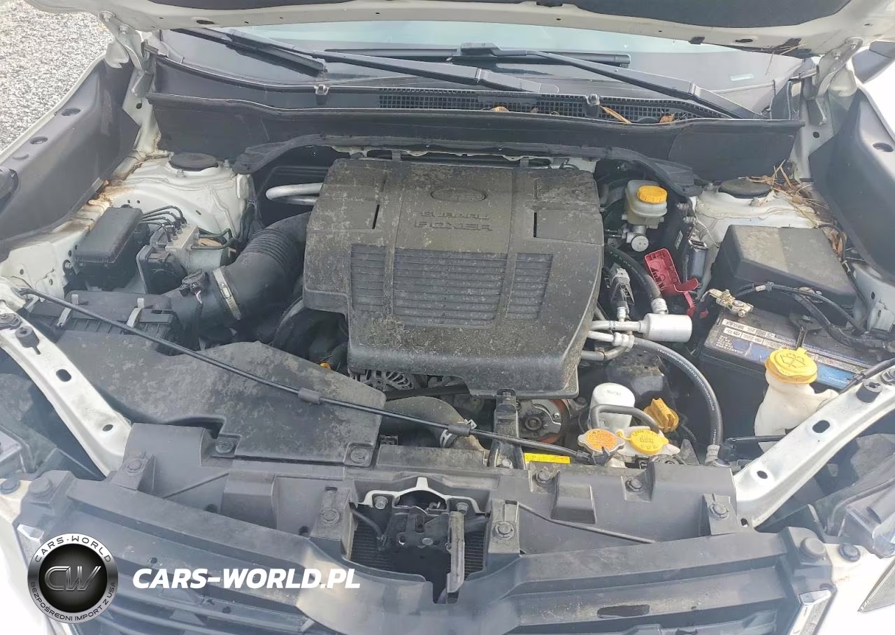 2019 Subaru Forester Limited VIN:JF2SKASC8KH537348 - 11