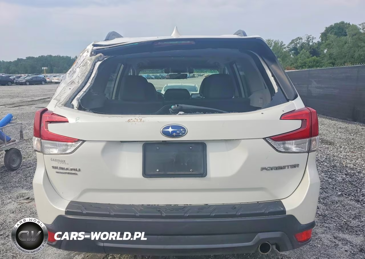 2019 Subaru Forester Limited VIN:JF2SKASC8KH537348 - 6
