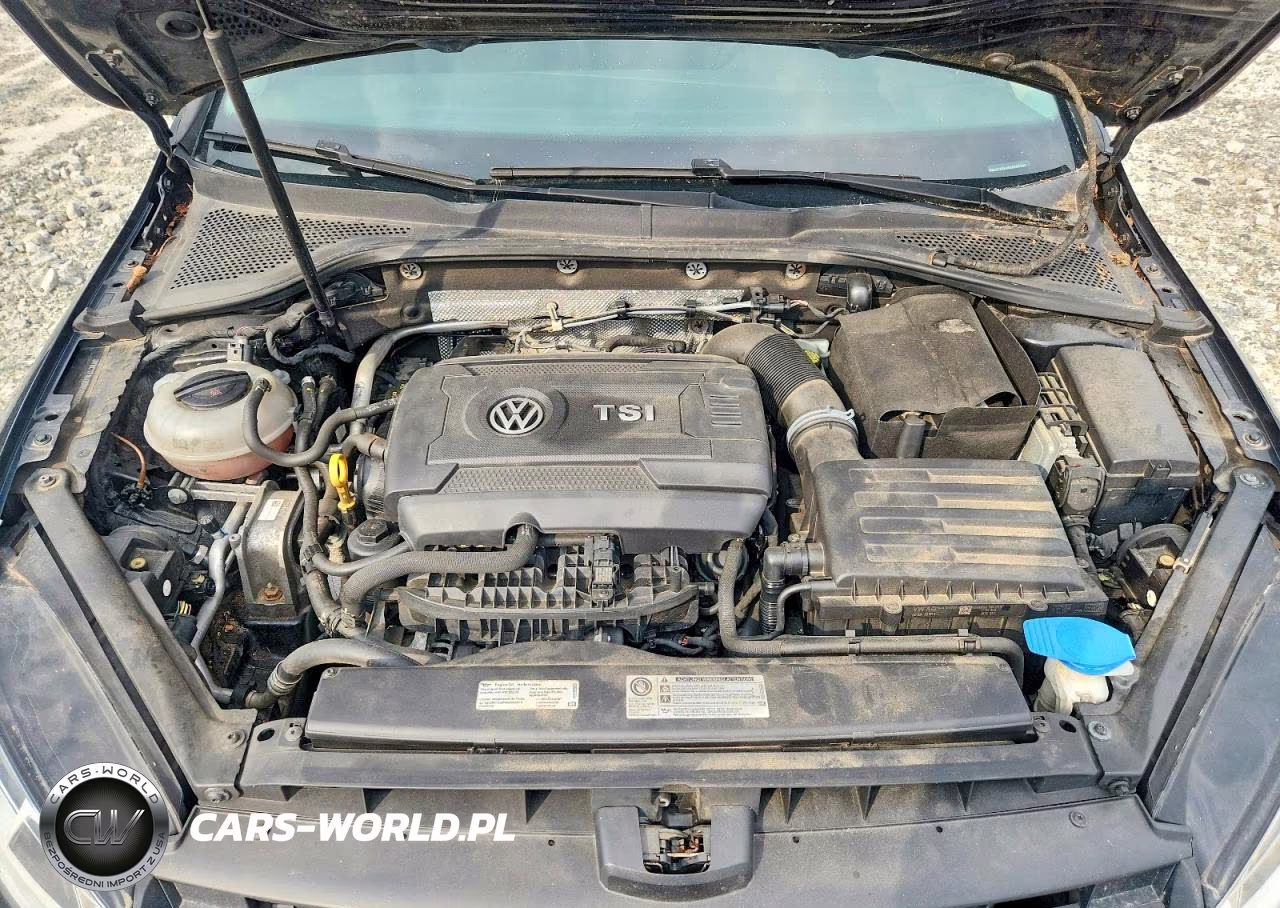 2016 Volkswagen Golf Sportwagen Tsi S 4-Door VIN:3VWC17AU3GM503207 - 11
