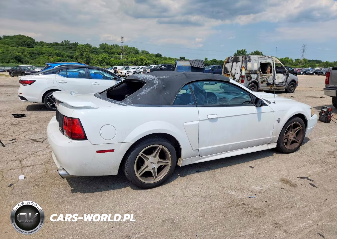 1999 Ford Mustang Gt VIN:1FAFP45X7XF206013 - 3