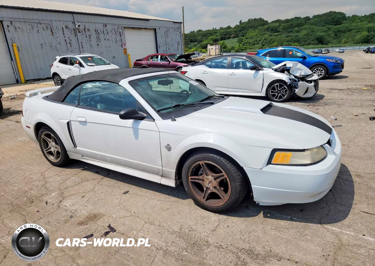 1999 Ford Mustang Gt VIN:1FAFP45X7XF206013 - 4