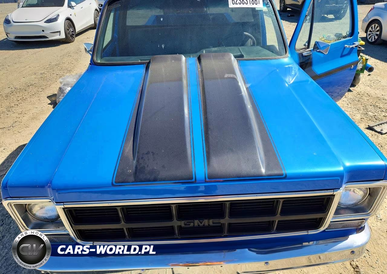 1973 Chevrolet C10 VIN:CCY143Z130119 - 11