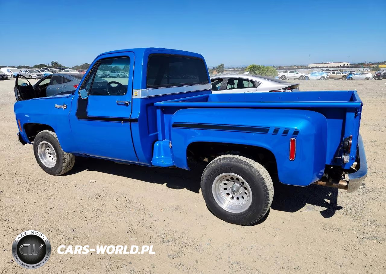 1973 Chevrolet C10 VIN:CCY143Z130119 - 2