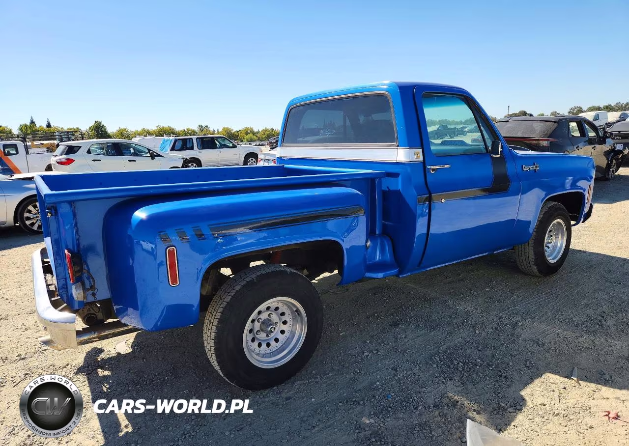 1973 Chevrolet C10 VIN:CCY143Z130119 - 3