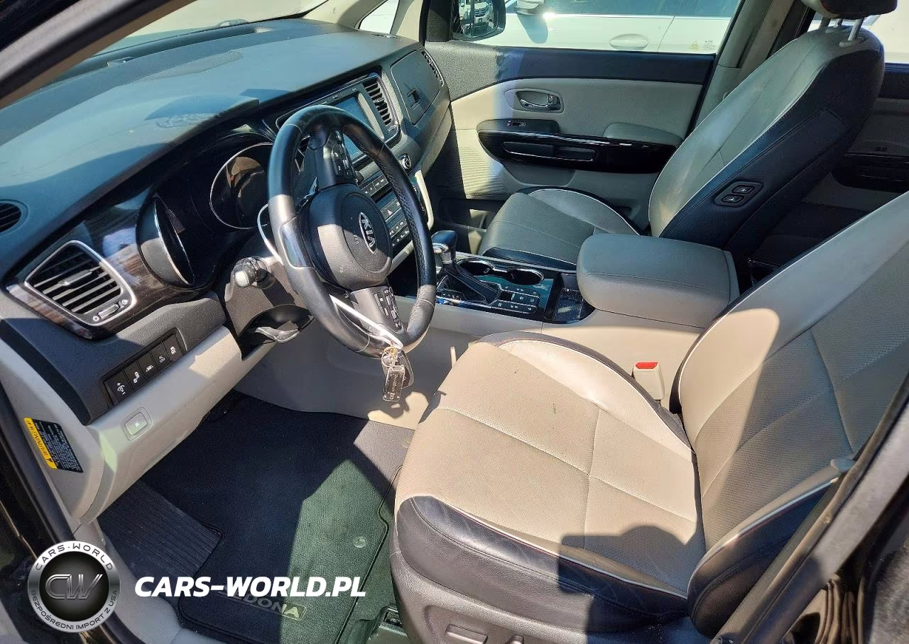 2019 Kia Sedona Sx VIN:KNDMC5C16K6558445 - 7