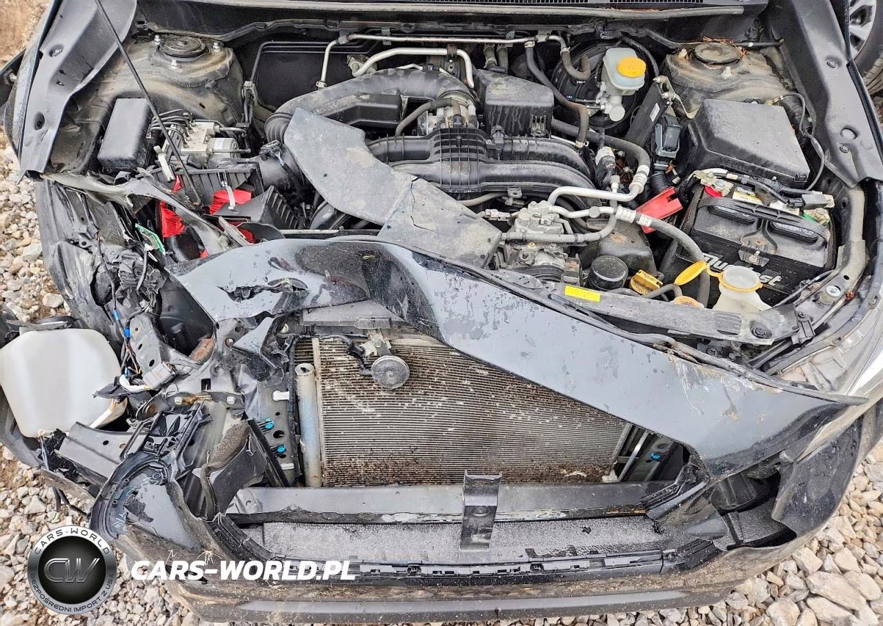 2019 Subaru Crosstrek Limited VIN:JF2GTAMC8KH333813 - 12