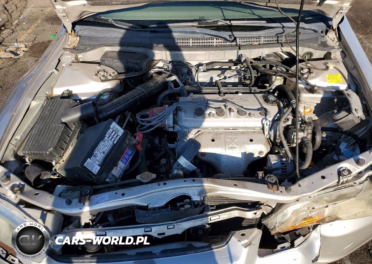 1999 Honda Accord Lx VIN:1HGCG5641XA026211 - 11