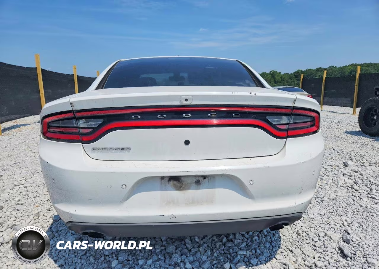 2017 Dodge Charger Police VIN:2C3CDXAG9HH515158 - 6