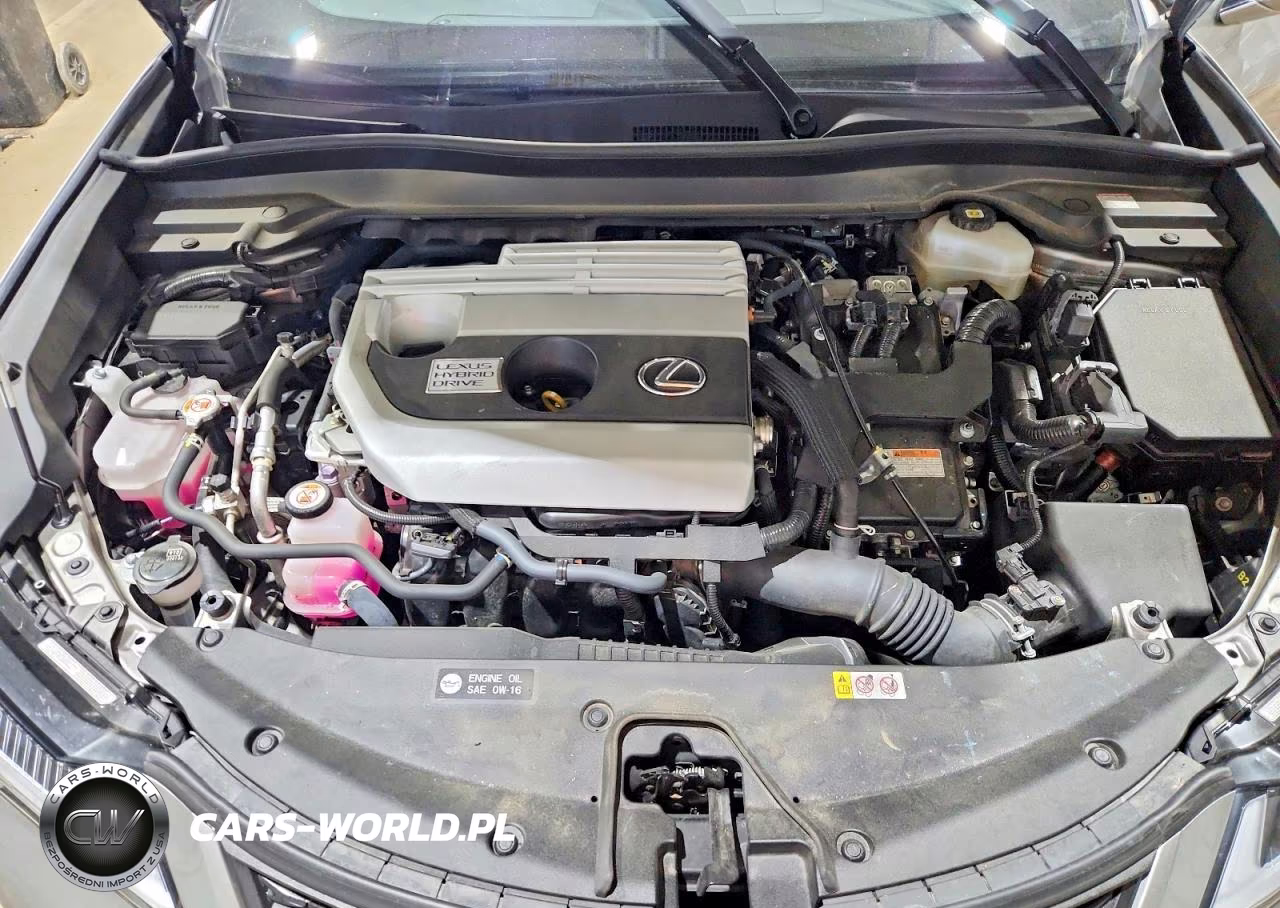 2021 Lexus Ux 250H VIN:JTHR9JBH6M2051498 - 11