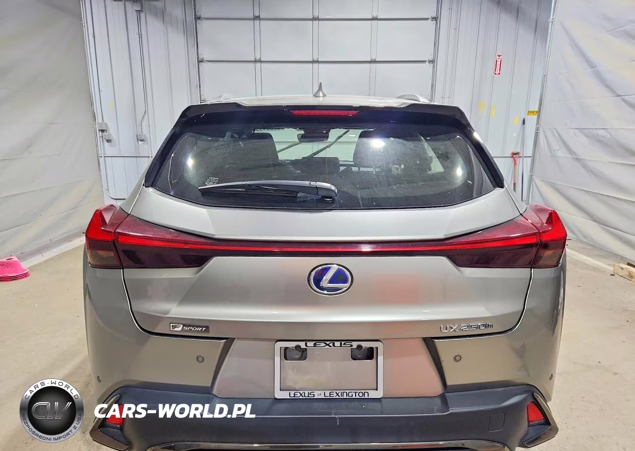 2021 Lexus Ux 250H VIN:JTHR9JBH6M2051498 - 6