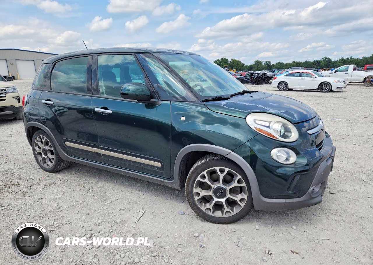 2014 Fiat 500L Trekking VIN:ZFBCFADH0EZ009899 - 4