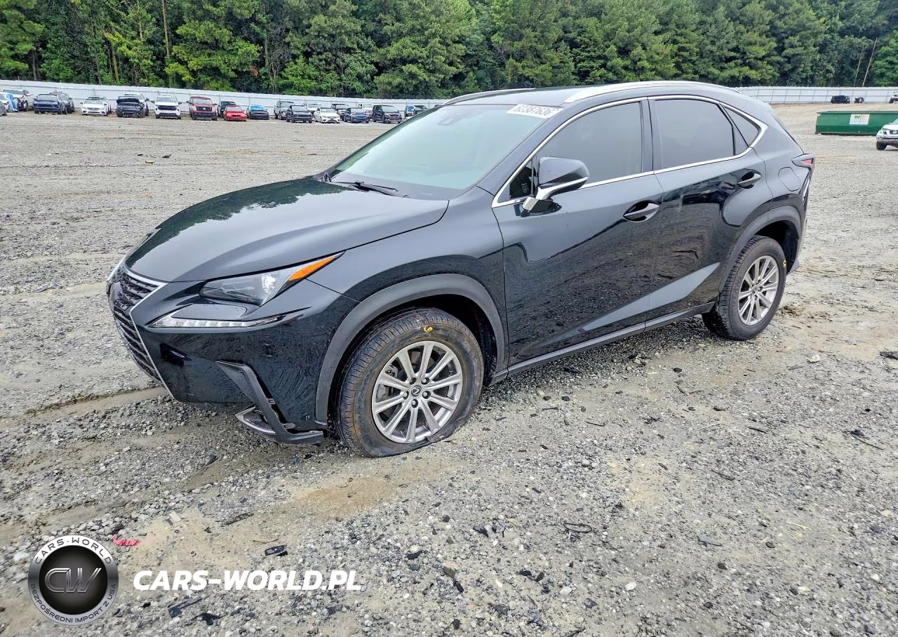 2021 Lexus Nx 300 Base VIN:JTJDARBZ8M2186490 - 1