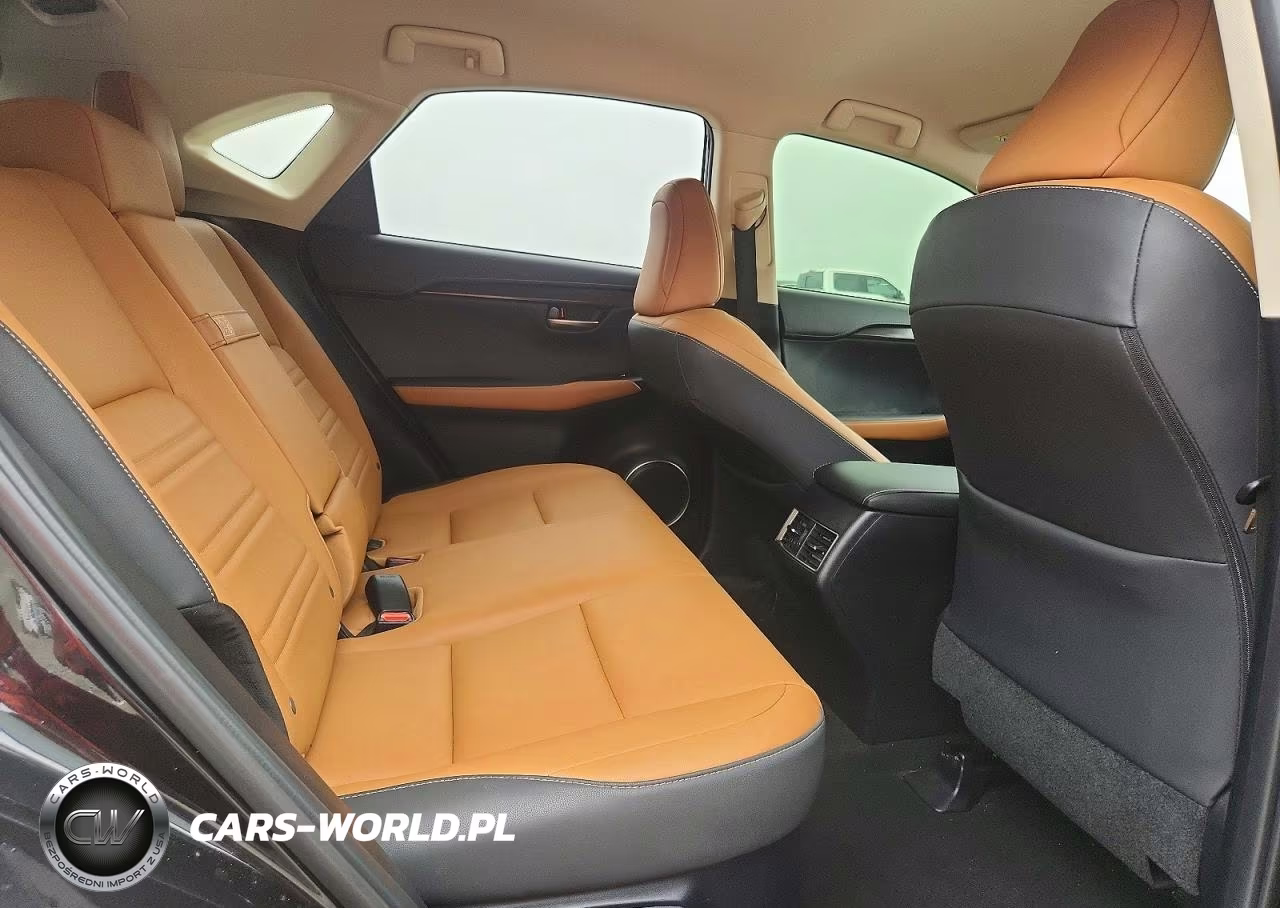 2021 Lexus Nx 300 Base VIN:JTJDARBZ8M2186490 - 10