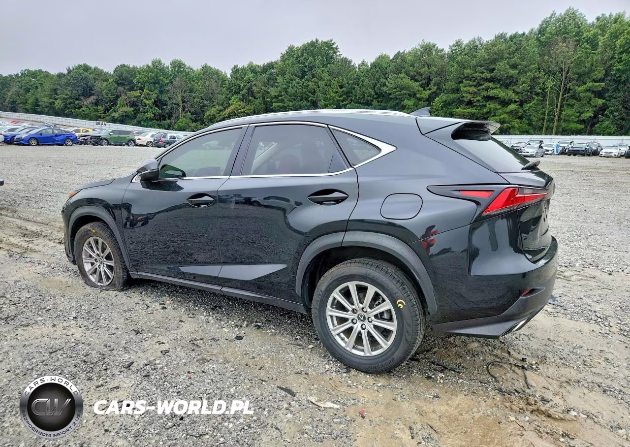 2021 Lexus Nx 300 Base VIN:JTJDARBZ8M2186490 - 2