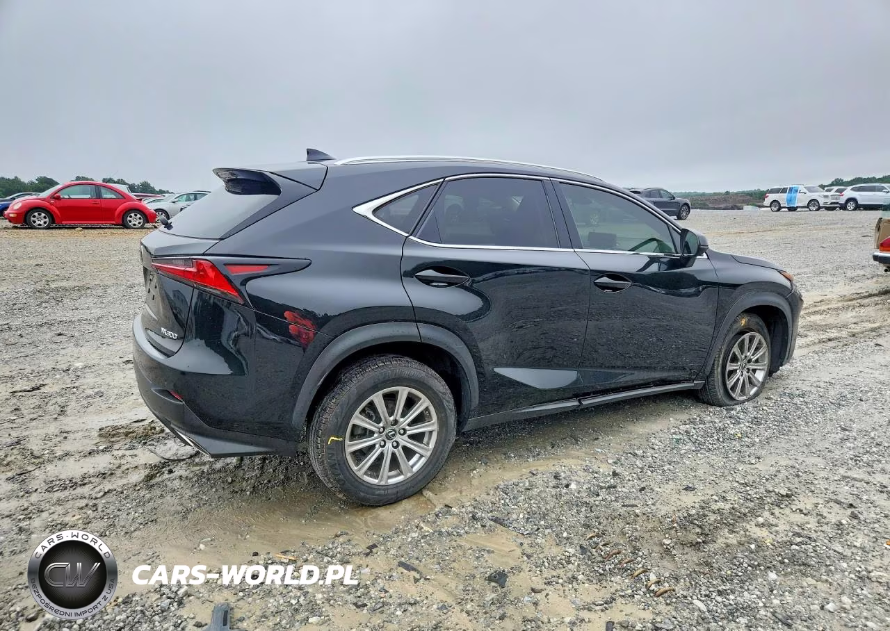 2021 Lexus Nx 300 Base VIN:JTJDARBZ8M2186490 - 3