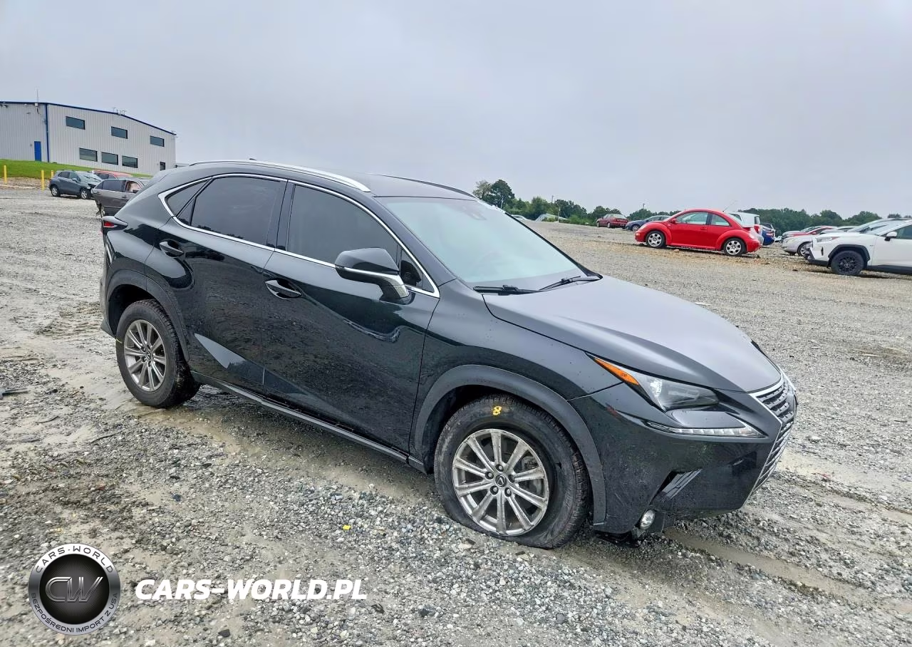 2021 Lexus Nx 300 Base VIN:JTJDARBZ8M2186490 - 4