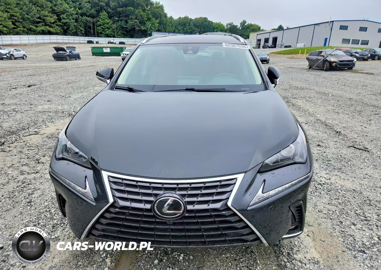 2021 Lexus Nx 300 Base VIN:JTJDARBZ8M2186490 - 5